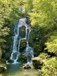 【島根　松江市】　由志園