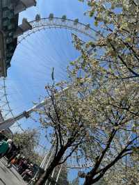 London Eye in Spring 🌸