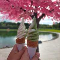 ฮิโนกิ~ไชยปราดาร