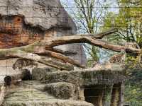 【瑞士】 巴賽爾動物園：瑞士最古老的動物園