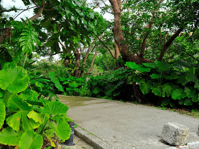 Shuri Castle Park