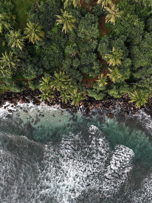 Coconut Tree Hill - Mirissa