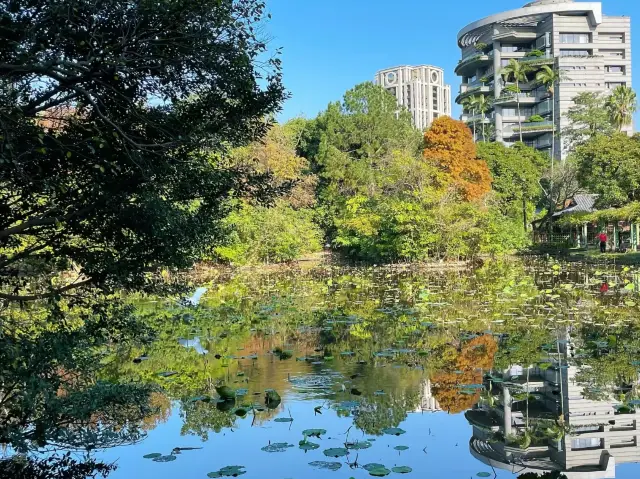 台北植物園：都市中的自然綠洲與生態寶庫🌿🌺