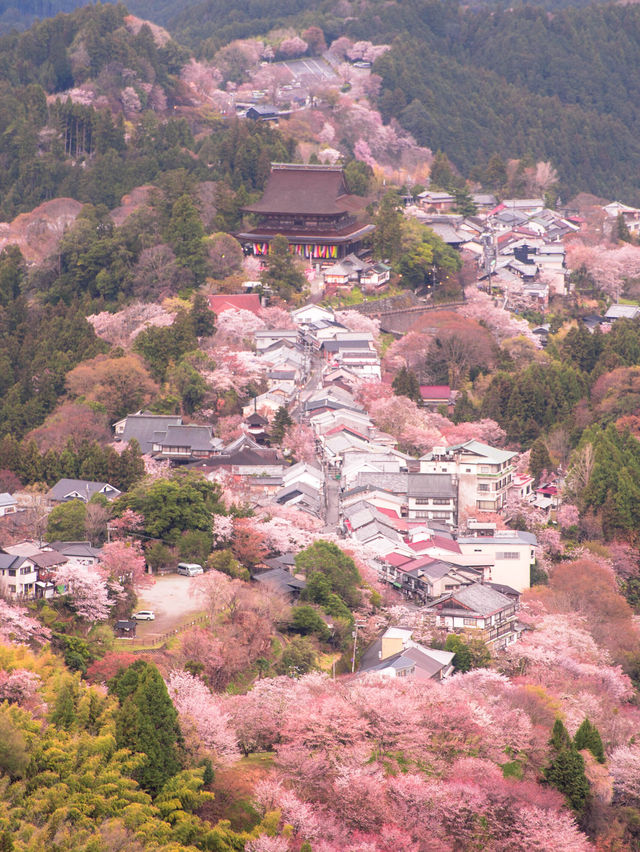 【関西の春景色は京都だけじゃない！💡】奈良県のおすすめ春絶景スポット5選！🌸✨ 
