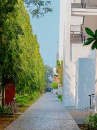 โรงแรมเซ็นทารา ไลฟ์ มาริส รีสอร์ท จอมเทียน