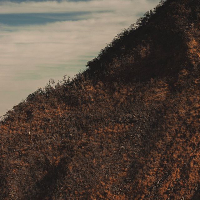 箱根のおすすめ観光スポット