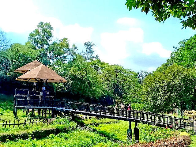 Negara Zoo in KL