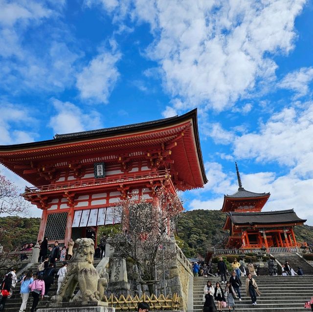 京都必逛景點“清水寺”