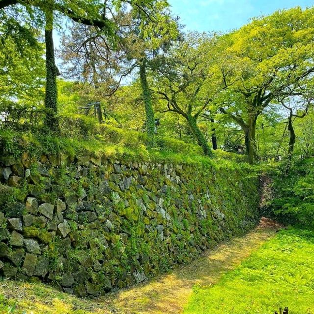 Takaoka Castle Ruins