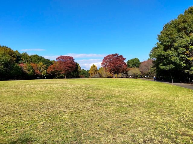 Nagaoka Park
