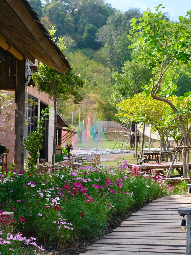 โอบบ์ farm&cafe #ระยอง 