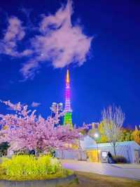 【東京】今だけ!!夜桜×東京タワーの最強コラボ