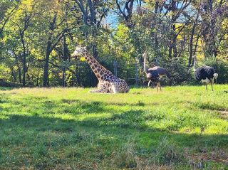 布朗克斯動物園
