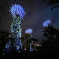 🌳夜晚超靚天空樹 • 濱海灣花園 Garden by the bay