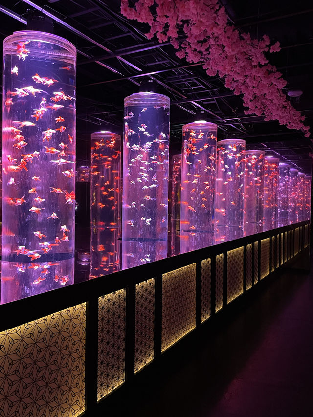 【アートアクアリウム美術館 GINZA /東京都】春を先取り！幻想的空間の桜と金魚
