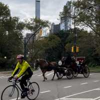 紐約 中央公園 Central Park 小心得