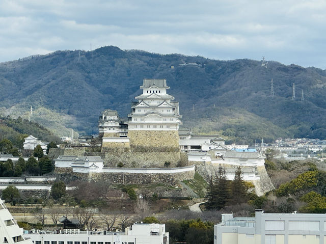 「姬路大和Roynet 酒店，適合日日望住姬路城」