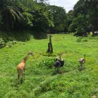 Meeting The Animal Kingdom Royalty