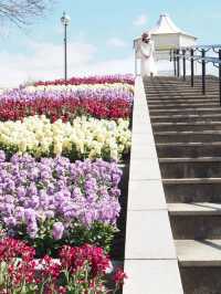 【淡路島】春を先取りしちゃう花畑へ🌼🌸🌷