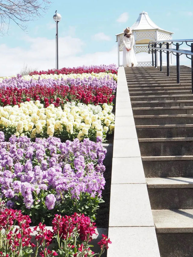 【淡路島】春を先取りしちゃう花畑へ🌼🌸🌷