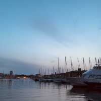 Rediscovering Marseille's Old Port