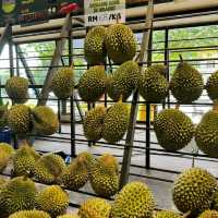 Best Durian Experience at DurianMan, SS2