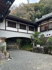 【奈良観光】日本最古のお寺へ⛩ 