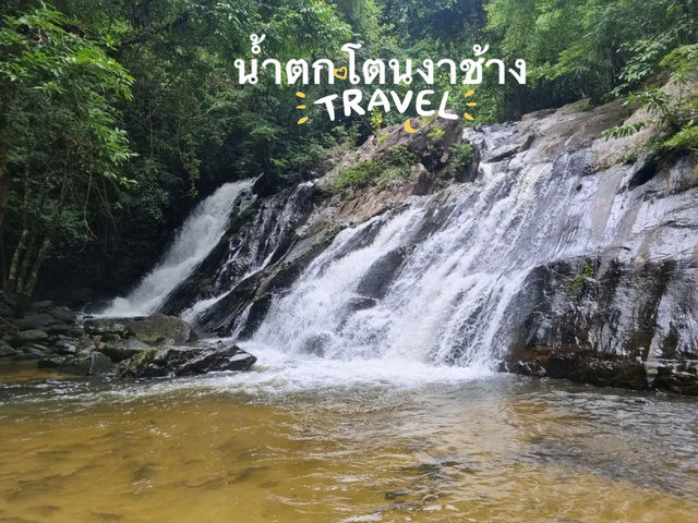เขตรักษาพันธุ์สัตว์ป่า โตนงาช้าง