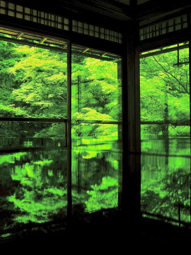 【京都】新緑のGWにオススメ‼️新緑さえも美しい京都リフレクションスポットを紹介