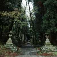 多賀大社：古老神社，幽靜祥和的神域之鄉