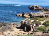 Cape Peron