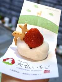 【奈良】鹿クッキーが乗ったスイーツが可愛いいちご専門店