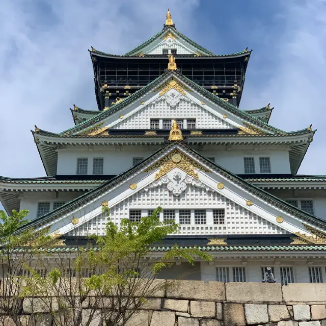 Hanami at Osaka Castle with Locals