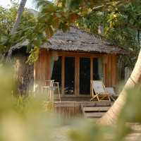 The Tropical Koh MOOK