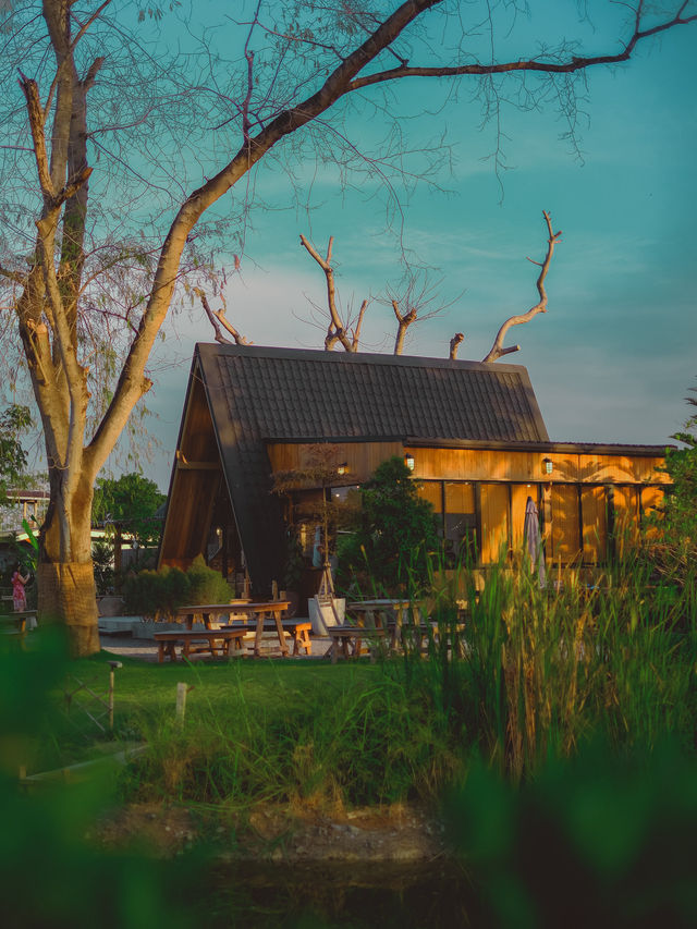 คาเฟ่สไตล์ญี่ปุ่น ปทุมธานี ! ☕️🇯🇵🌲