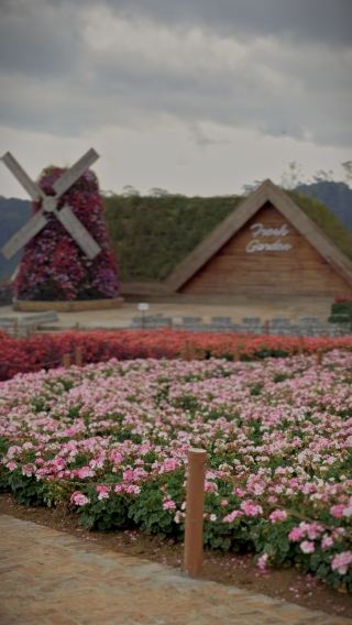 A place where you can smell and see fresh flowers