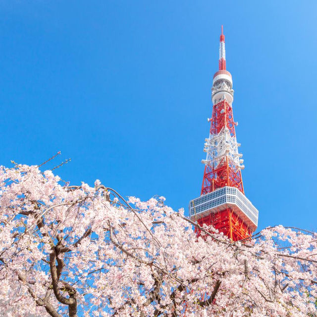 Tokyo Tower: the Ultimate Guide to Iconic Views! 🗼