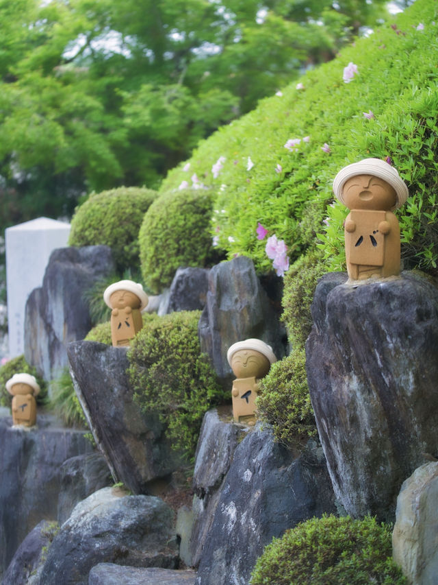 【群馬】5/19まで‼️新緑のもみじのリフレクション絶景✨春の床もみじ特別公開❤️※訪問攻略付き