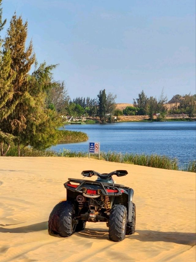 베트남의 샌프란시스코🏜