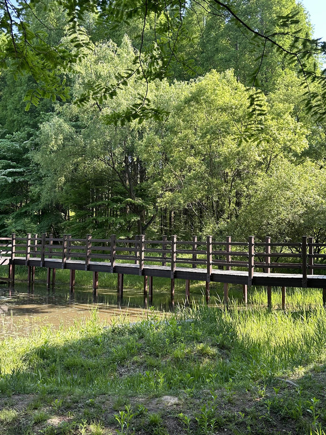 봄에 가기 좋은 오산 물향기 수목원🌳🌸