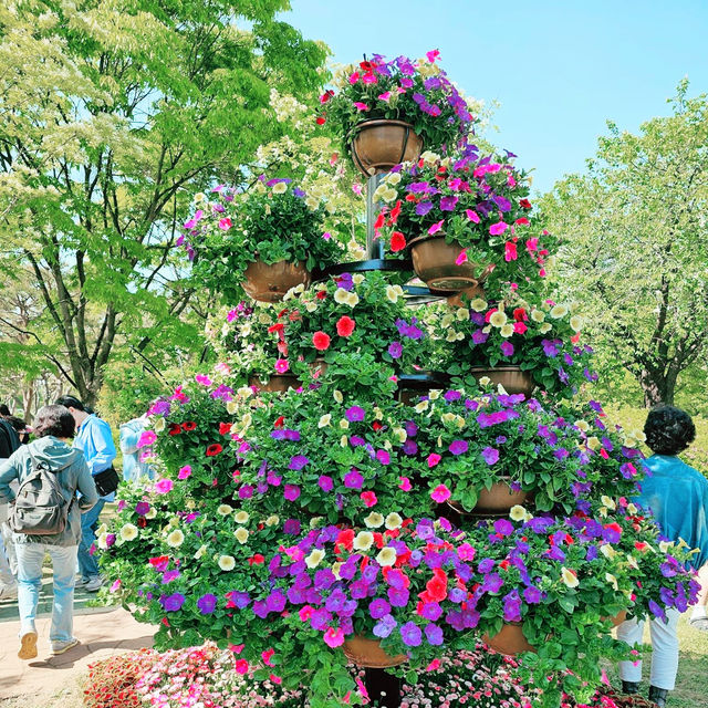 A Floral Extravaganza at INTERNATIONAL HORTICULTURE GOYANG KOREA 2024 