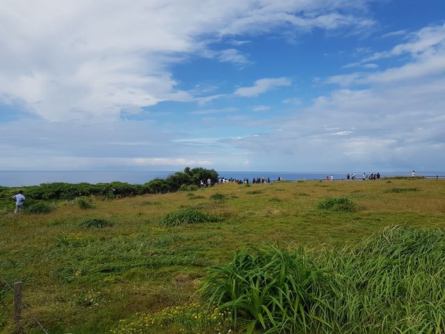 🐘 Cape Manzamo มนต์เสน่ห์เหนือกาลเวลาใน Okinawa 🐘 Cape Manzamo มนต์เสน่ห์เหนือกาลเวลาใน Okinawa