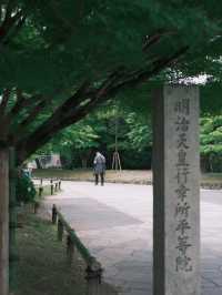 京都 | 宇治一日遊 造訪抹茶之鄉🍵