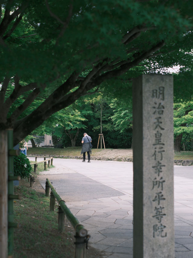 京都 | 宇治一日遊 造訪抹茶之鄉🍵