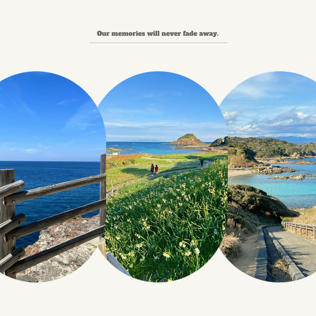 大房岬：絕美海景，悠閒海濱