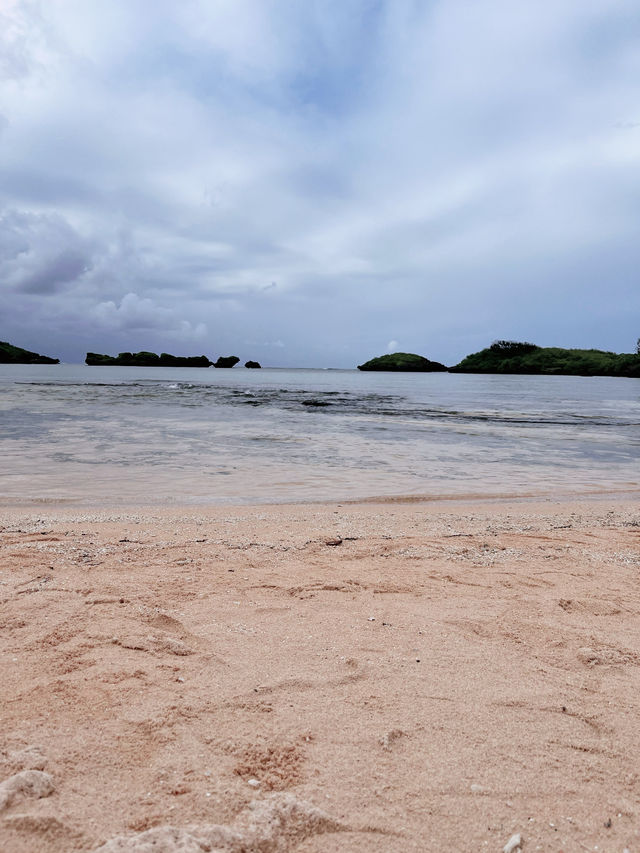 めちゃくちゃ最高だった西表島✨