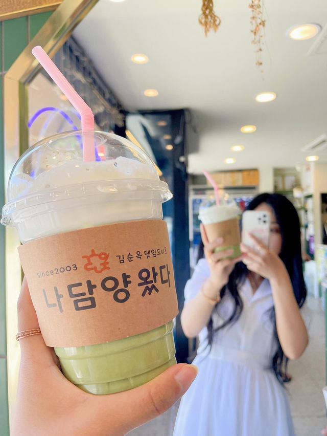 🎋 인생 첫 담양 여행 죽녹원 다녀왔어요!💚