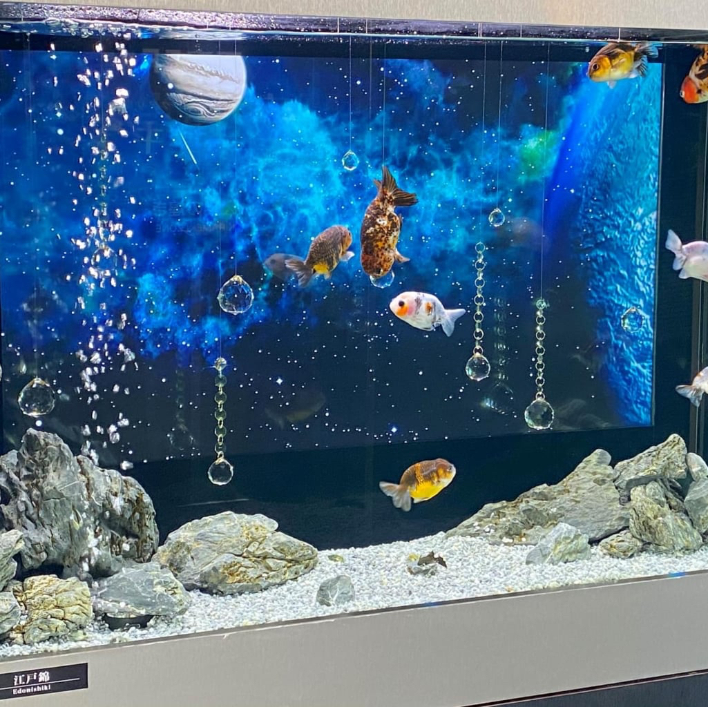 香川】天空127mの空の金魚アート水族館 | Trip.com 宇多津町