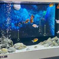 【香川】天空127mの空の金魚アート水族館