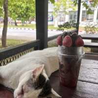 ร้านน้ำชาพี่กุ้ง พิกัดราชภัฎนครศรีธรรมราช